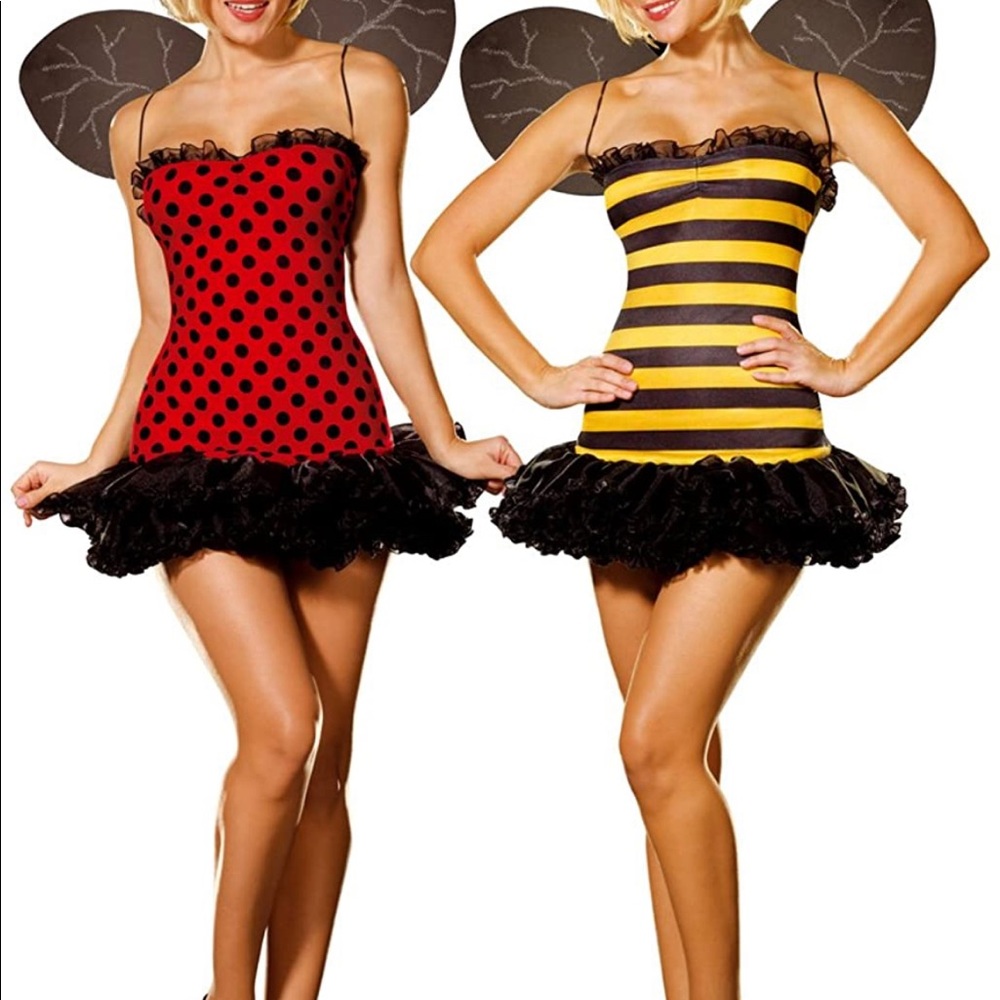 Reversible Ladybug/Bumble Bee Costume